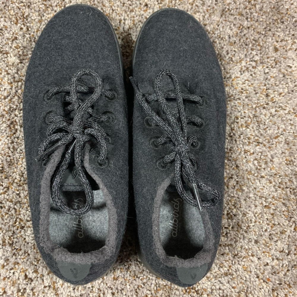 All Birds sneaker